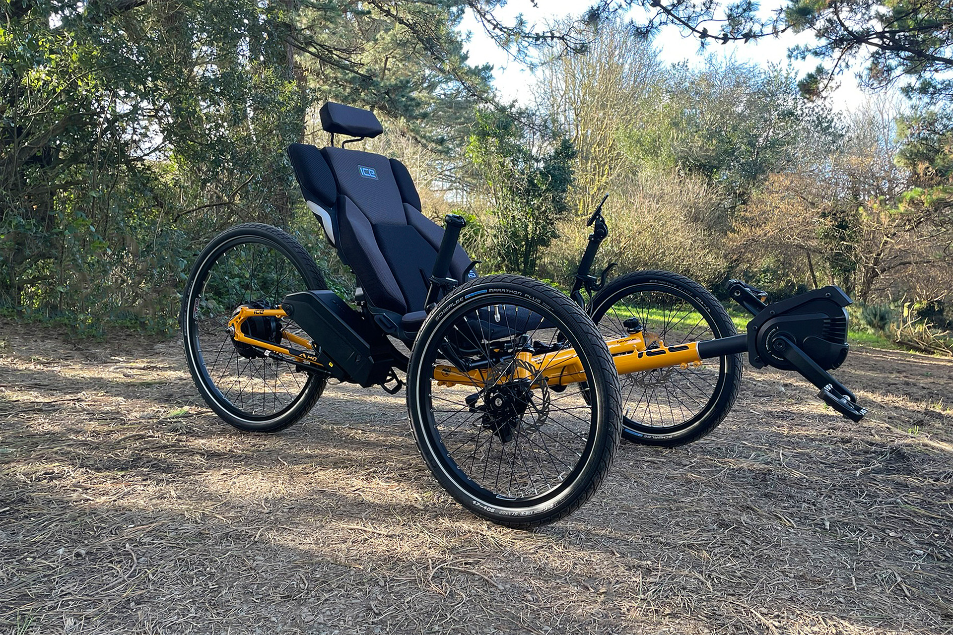 CIXI Trike in the Woods