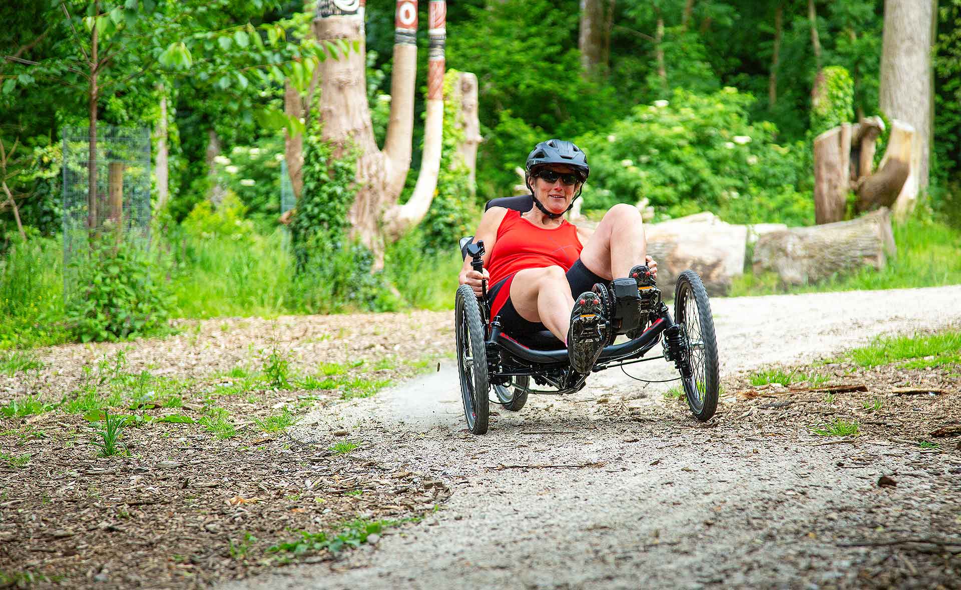 ICE Sprint X 365, Trail Special Edition Recumbent Trike 