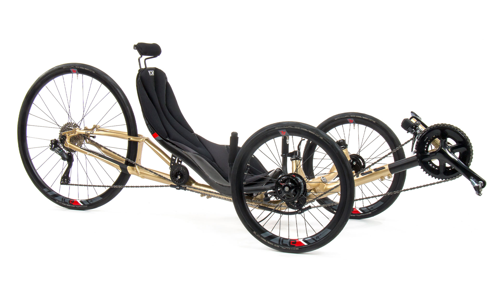 Vtx Gold 1