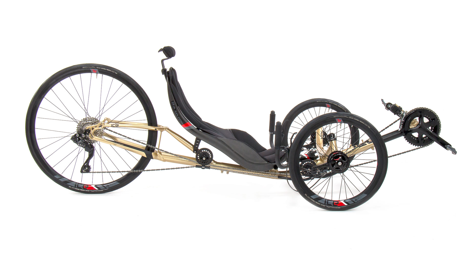 Vtx Gold 5
