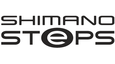 Shimano Steps on ICE Trikes
