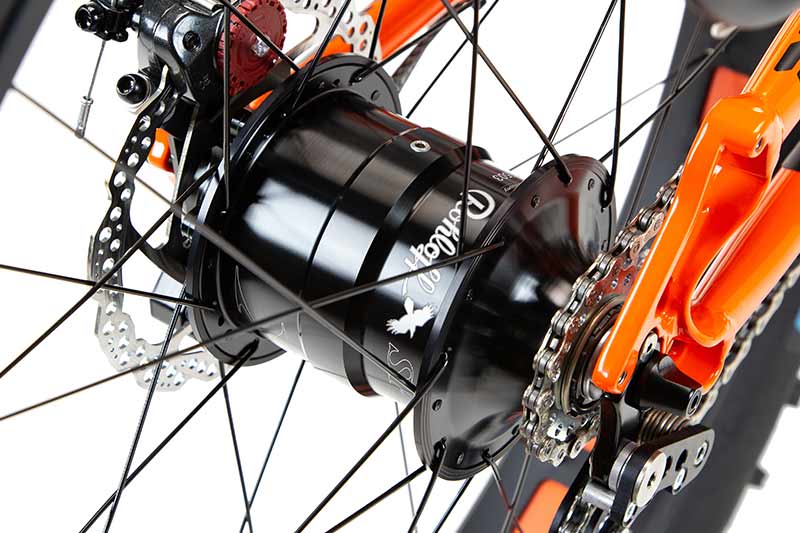 ICE Trike Huib Gear options - Rohloff Speed Hub