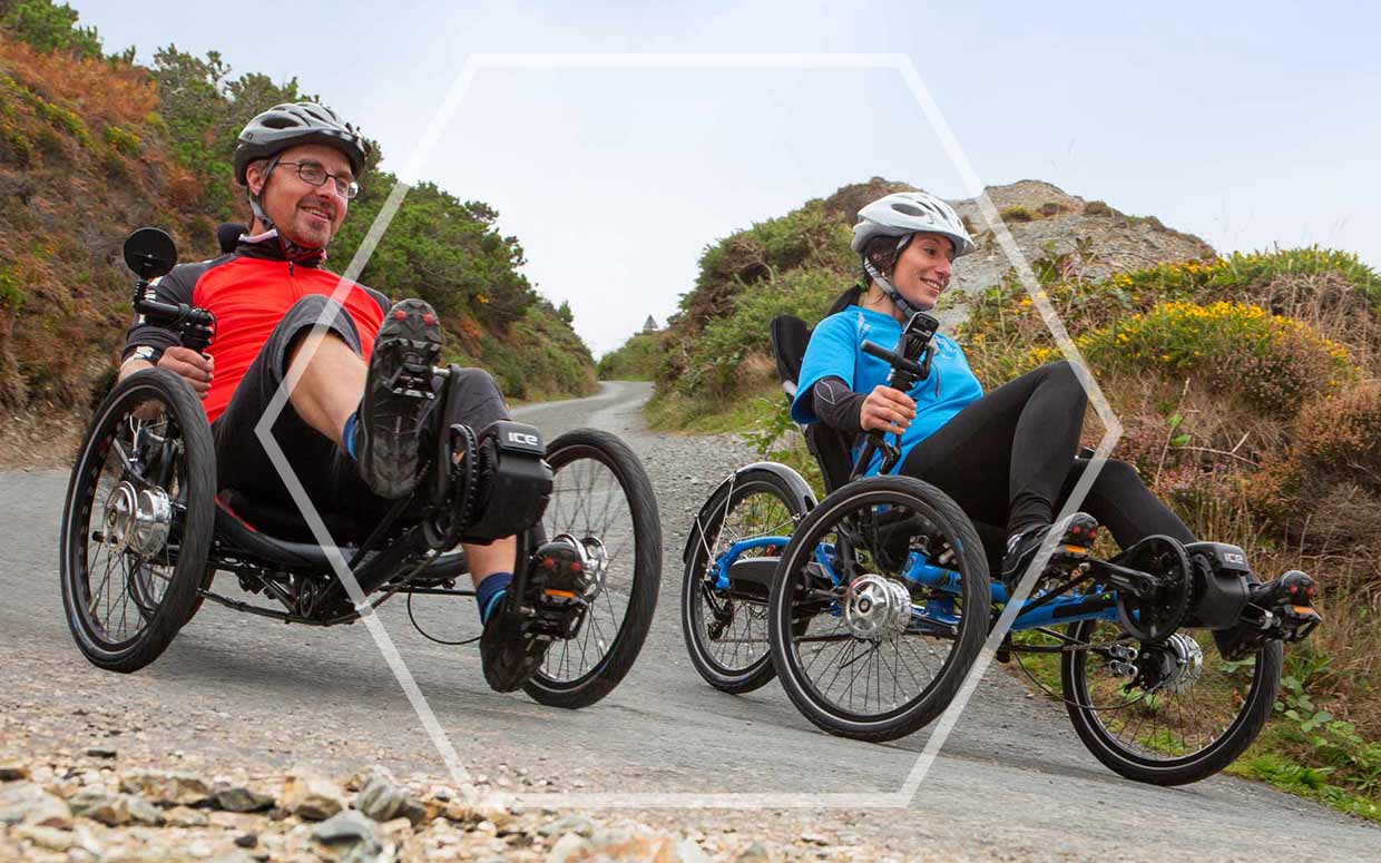 Electronic Assist for your Trike