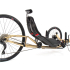 Vtx Gold 4