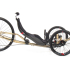 Vtx Gold 5